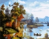 Косули у водопоя