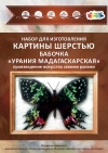Бабочка "Урания Мадагаскарская"