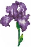 T18